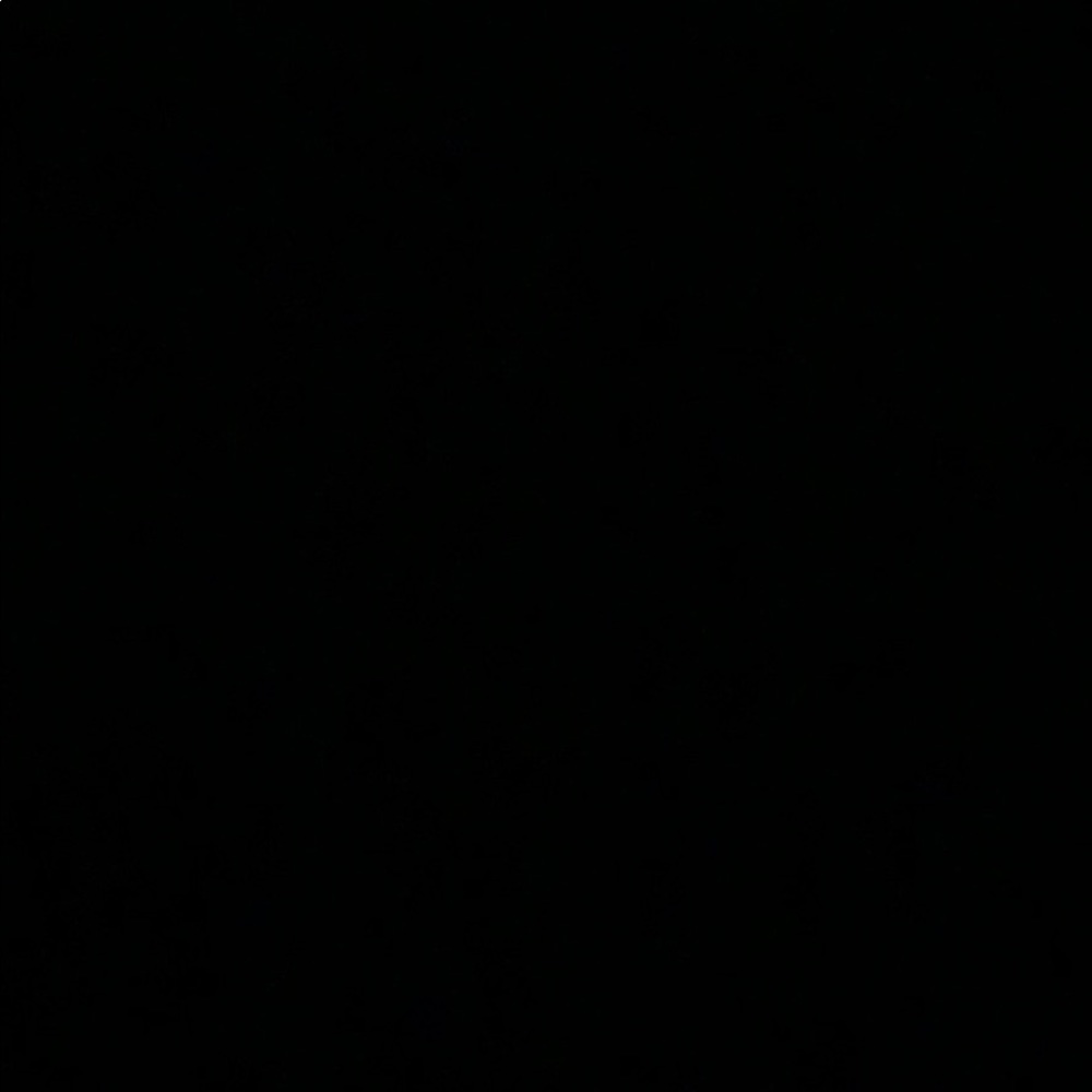 Meet your Posher, Willa